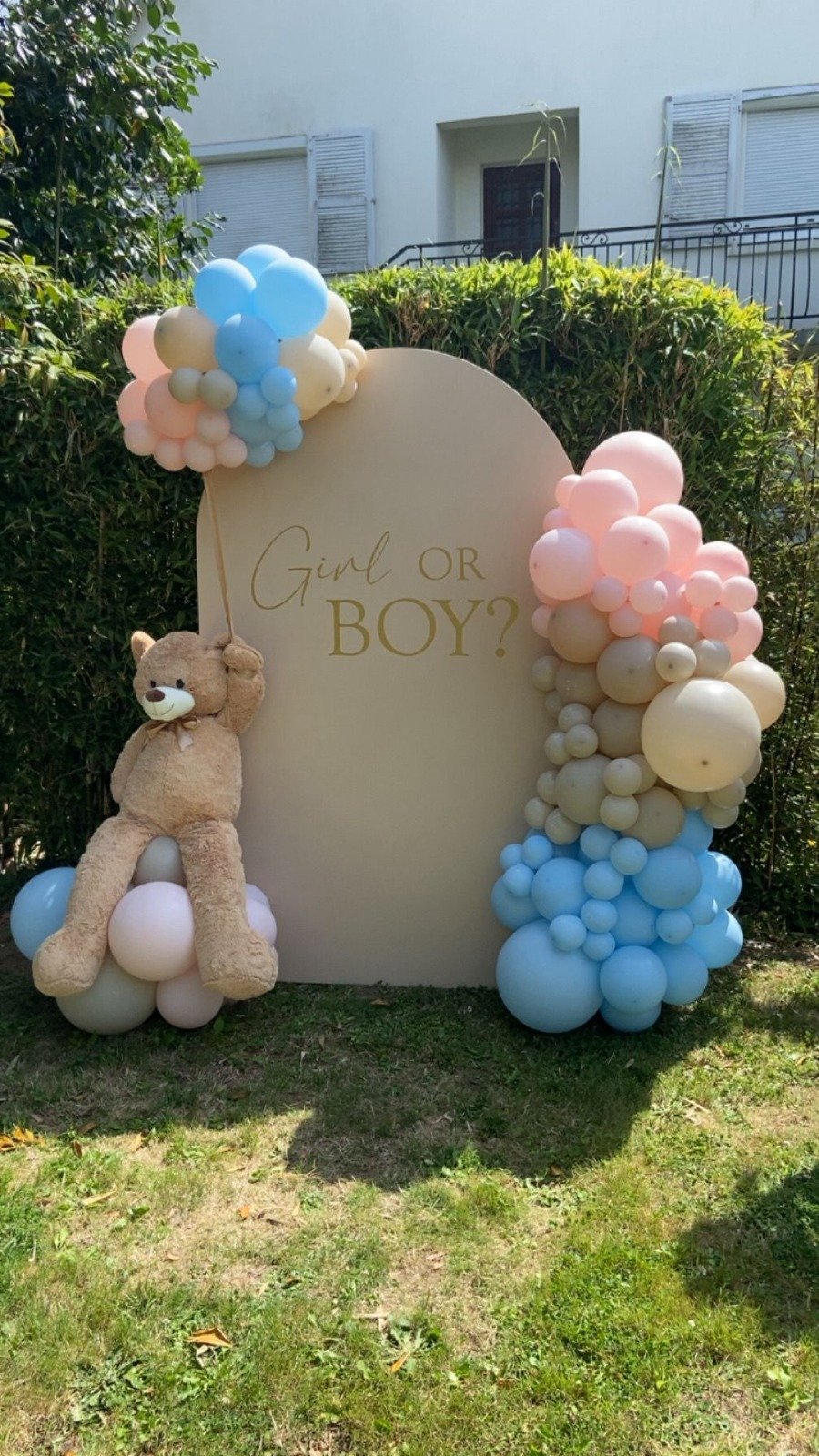 Décoration Baby Shower - photo 1