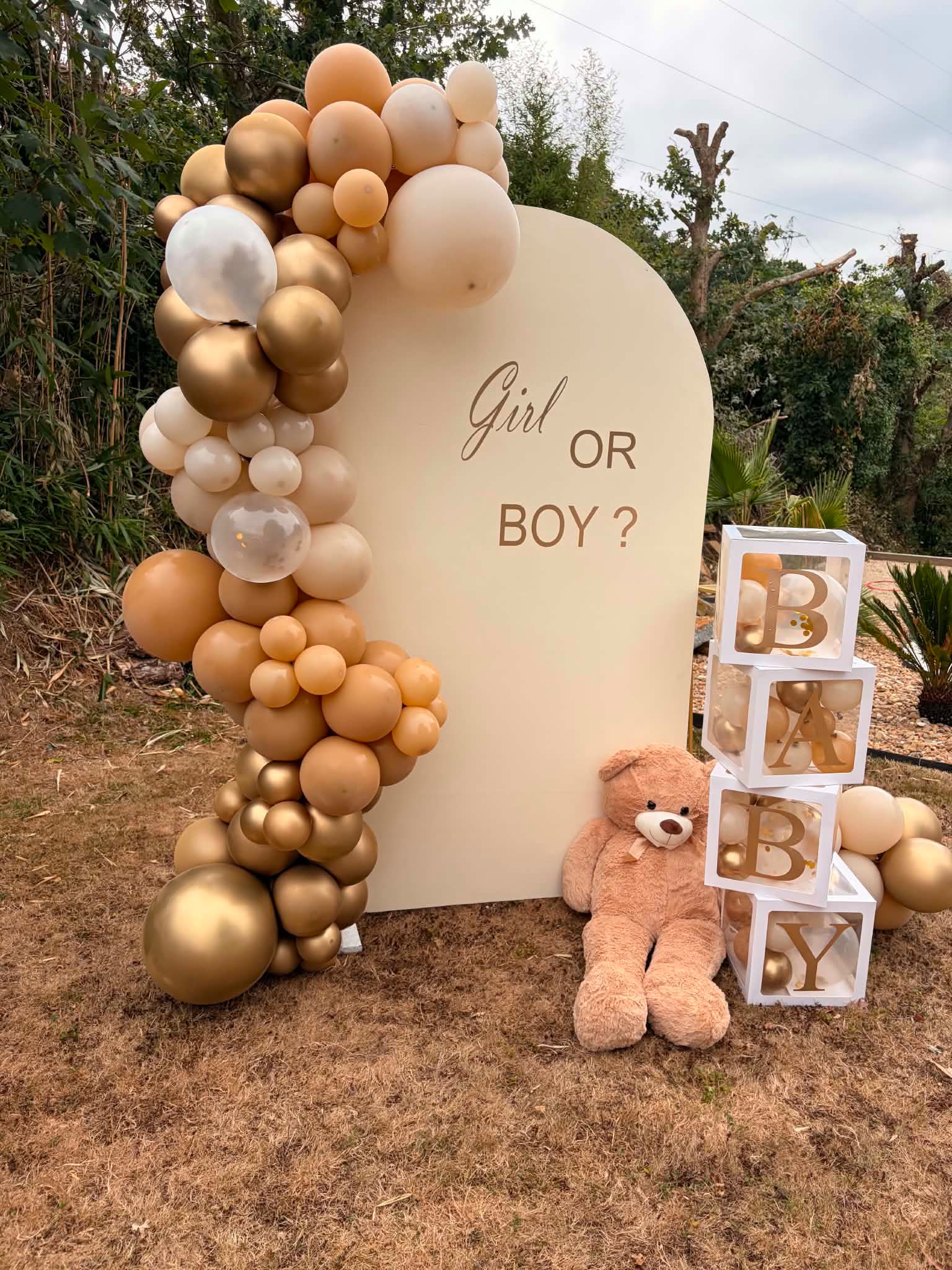 Arche de ballons Gender Reveal